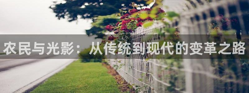日本理論免費電影：農民與光影：從傳統到現代的變革之路