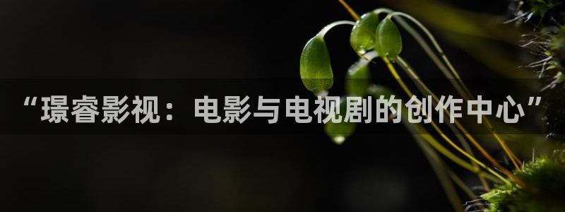 3334k老三理論電影：“璟睿影視：電影與電視劇的創作中心”