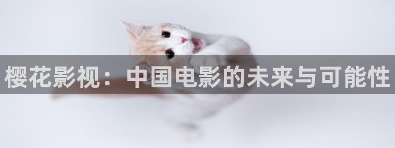 美國(guó)理論電影在線看：櫻花影視：中國(guó)電影的未來(lái)與可能性