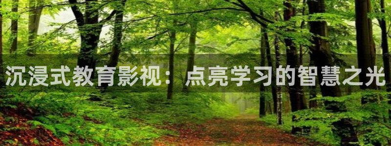 神馬老子理論影院：沉浸式教育影視：點(diǎn)亮學(xué)習(xí)的智慧之光