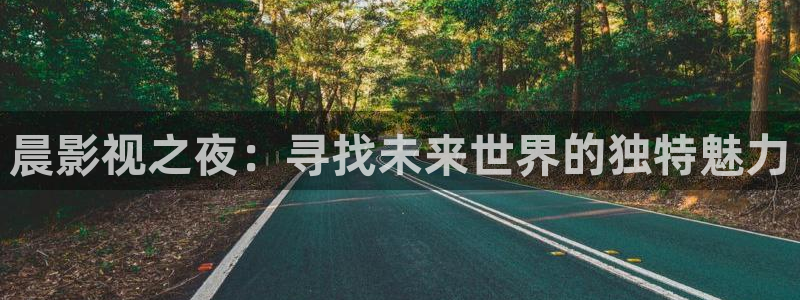 成人理論電影：晨影視之夜：尋找未來世界的獨特魅力