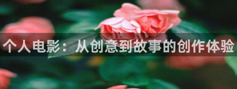 yy111111影院午夜理論片：個人電影：從創(chuàng)意到故事的創(chuàng)作體驗