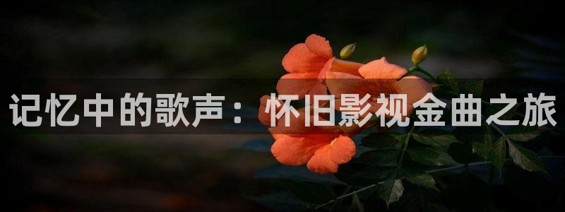 韓國電影 r 級理論在線觀看：記憶中的歌聲：懷舊影視金曲之旅