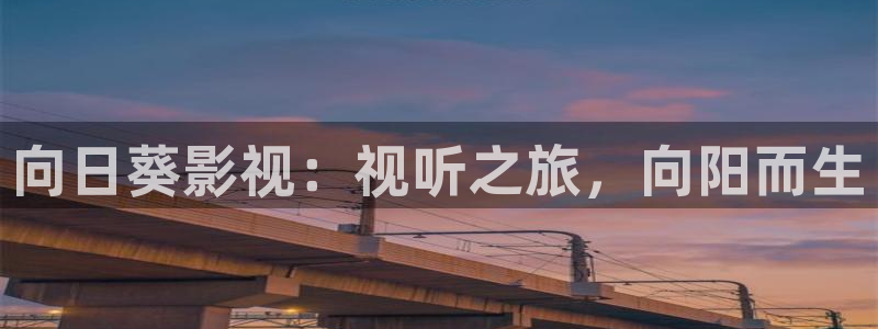 歐美理論電影網站：向日葵影視：視聽之旅，向陽而生