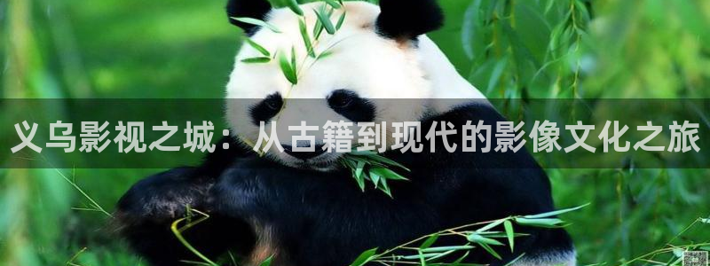 老子影院午夜理論手機：義烏影視之城：從古籍到現代的影像文化之旅
