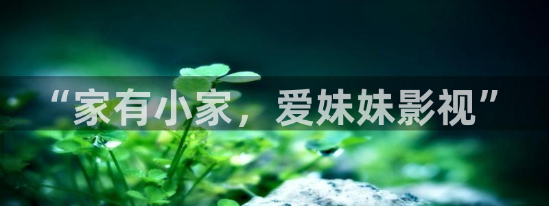 李采潭理論電影：“家有小家，愛妹妹影視”